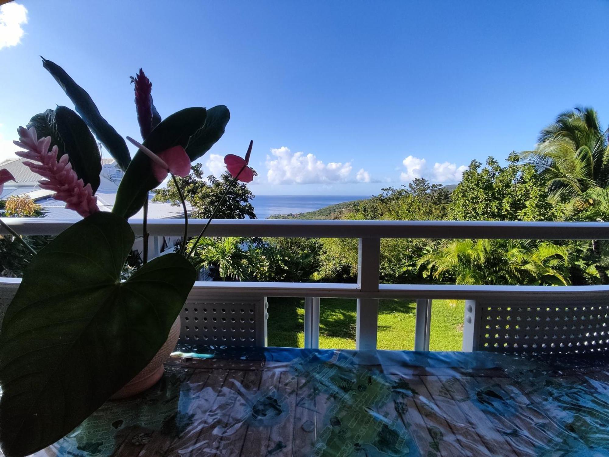 Bungalow With Sea View In Deshaies Exterior photo
