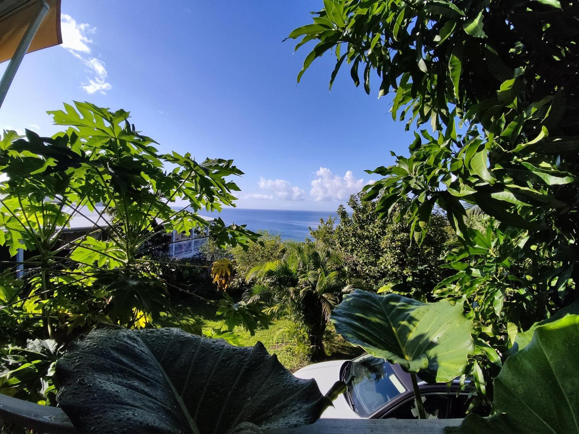 Bungalow With Sea View In Deshaies Room photo